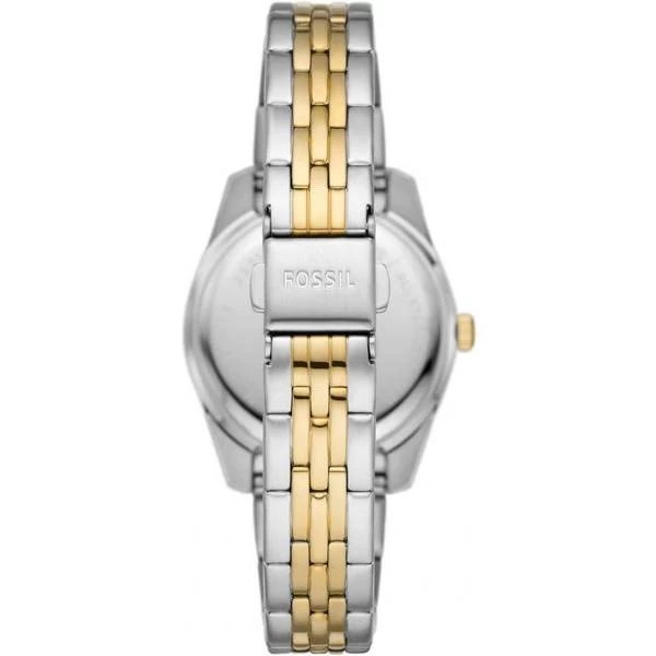 Fossil Scarlet (ES5173) 4 Fossil Scarlet (ES5173) - Image 2