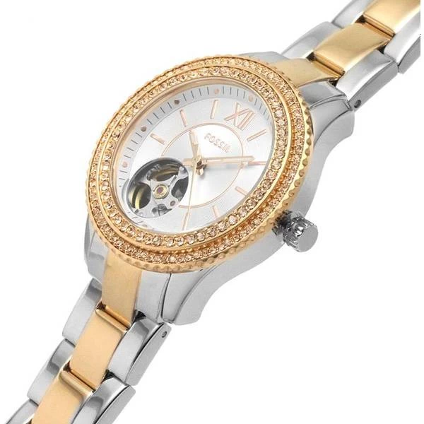 Fossil Stella (ME3214) 5 Fossil Stella (ME3214) - Image 3