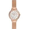 Fossil Virginia (ES5111) -Fashion Watch Store Fossil Virginia ES5111