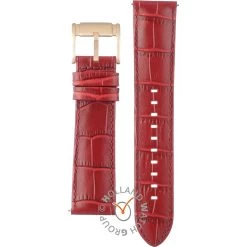 Fossil Straps ABQ2660 BQ2660 Evanston Strap