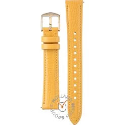 Fossil Straps AES4728 ES4728 Galaxy Strap